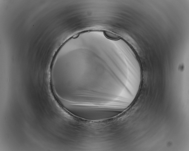 X0000101121428200807241148