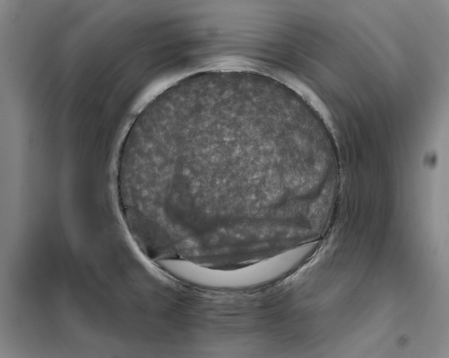 X0000101121429200807241148
