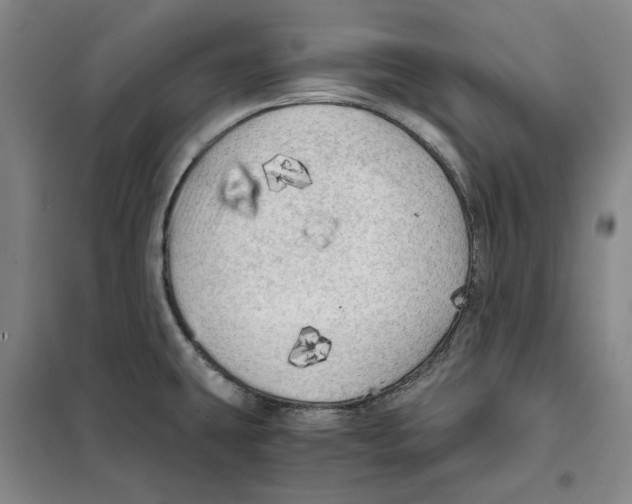 X0000101121431200807241148