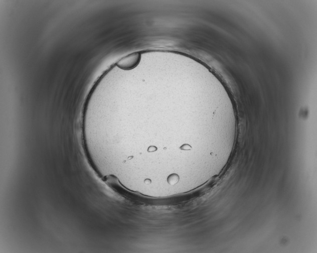 X0000101121432200807241148