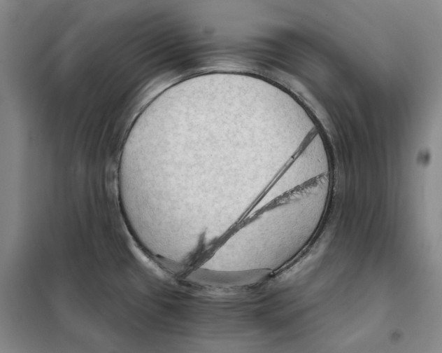 X0000101121433200807241149