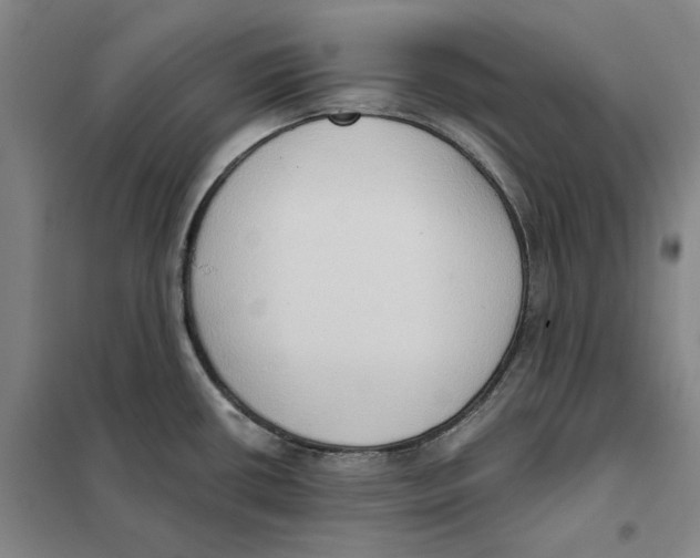 X0000101121434200807241149