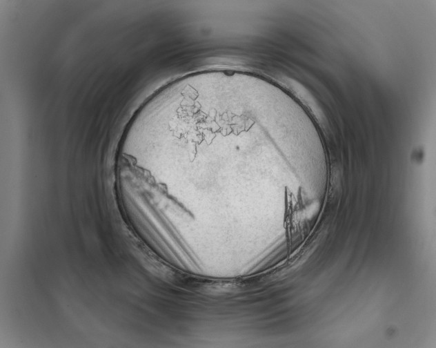 X0000101121435200807241149