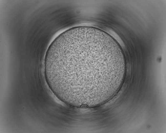 X0000101121436200807241149