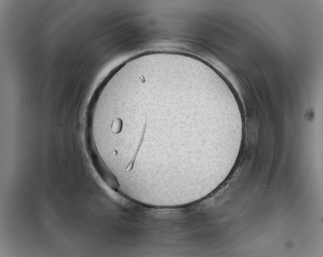 X0000101121437200807241149