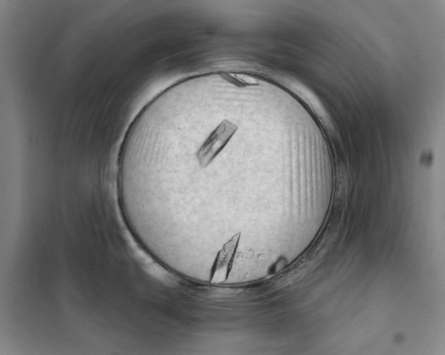 X0000101121439200807241149