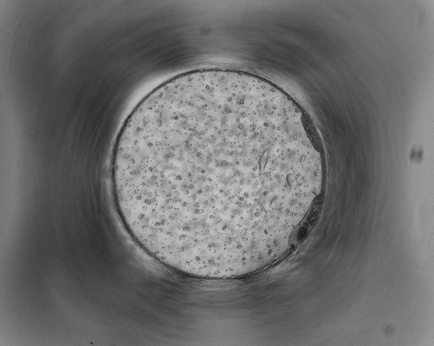 X0000101121440200807241149