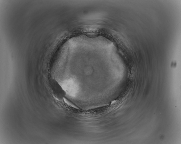X0000101121441200807241148