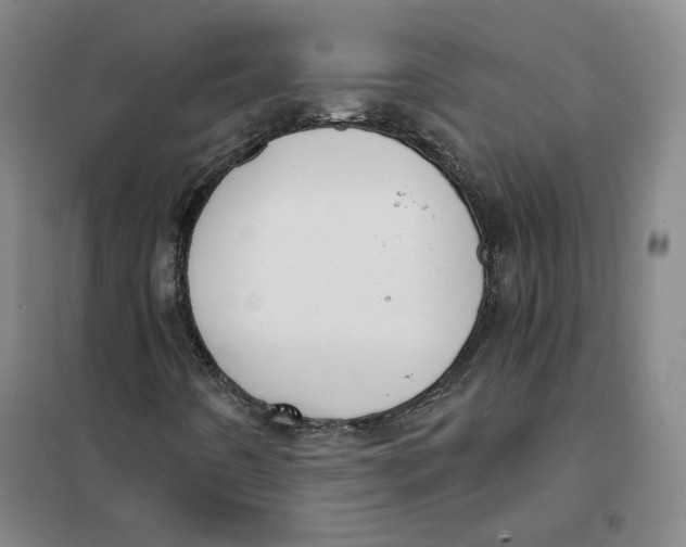X0000101121442200807241148