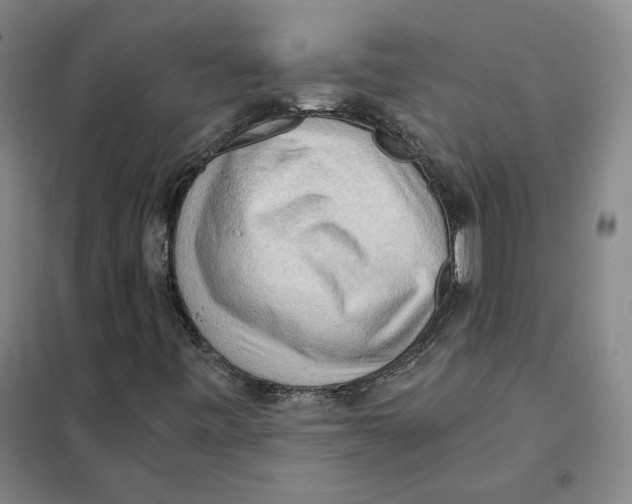 X0000101121443200807241148
