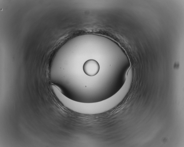 X0000101121444200807241148