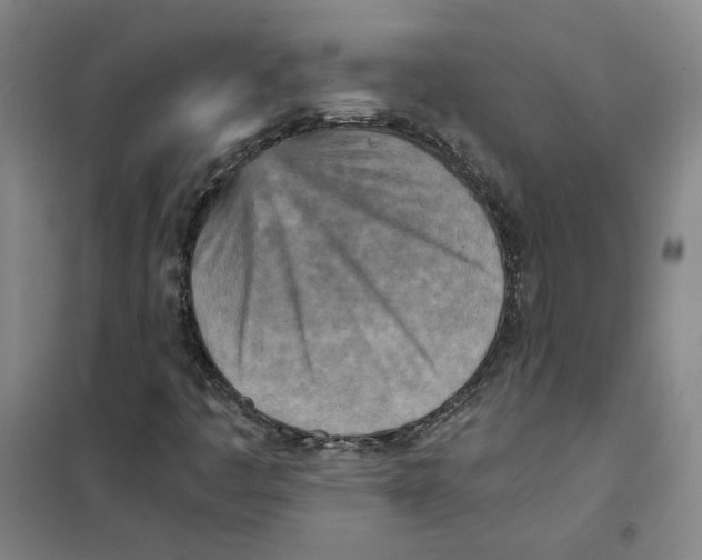 X0000101121445200807241148