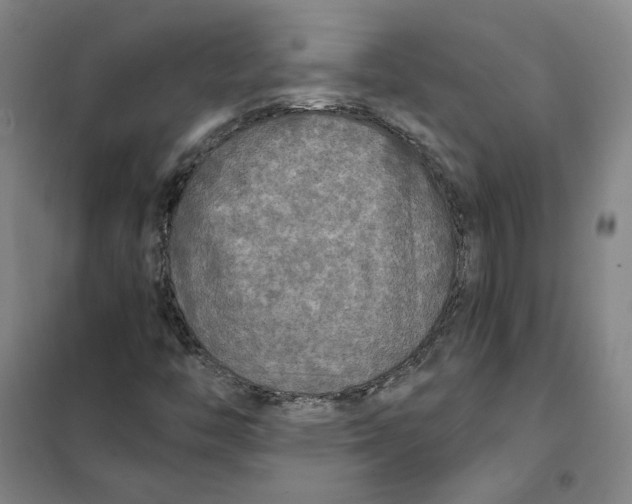 X0000101121446200807241148