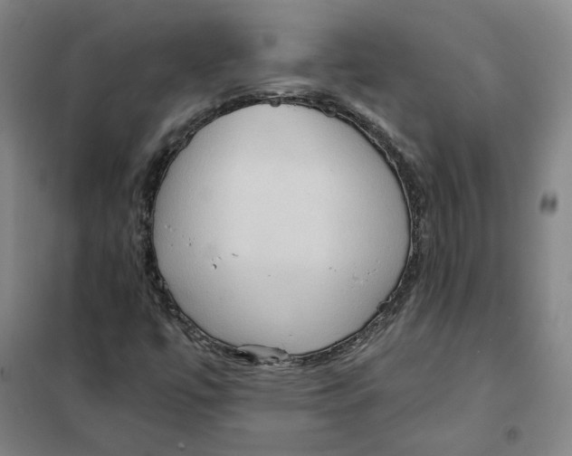 X0000101121447200807241148