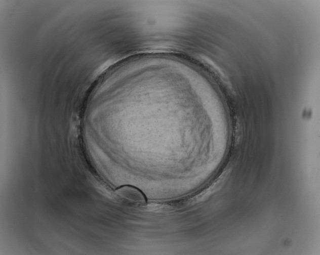 X0000101121449200807241148