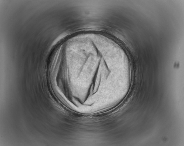 X0000101121450200807241148