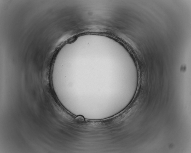 X0000101121451200807241148