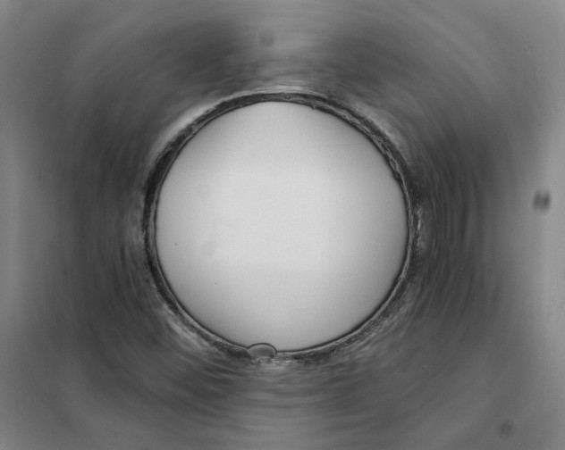 X0000101121452200807241148