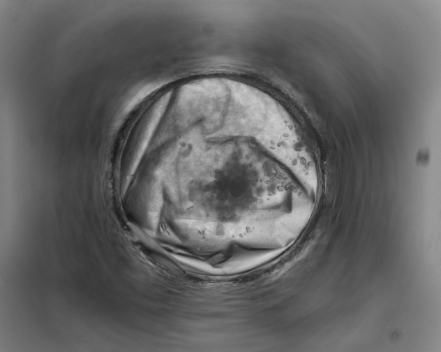X0000101121453200807241148
