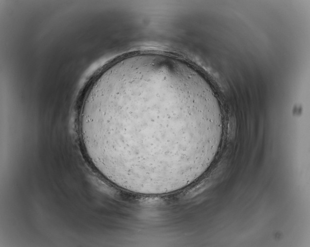 X0000101121454200807241148