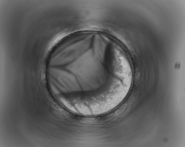 X0000101121455200807241148