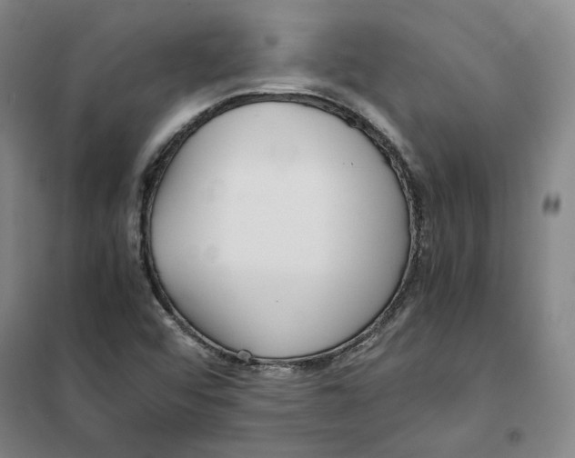 X0000101121456200807241148