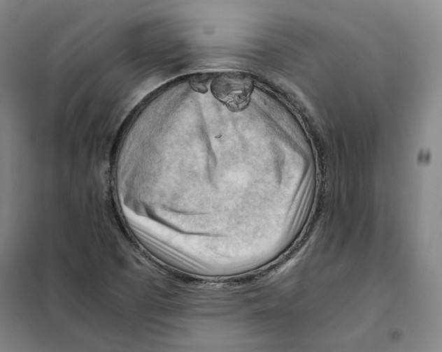 X0000101121457200807241148