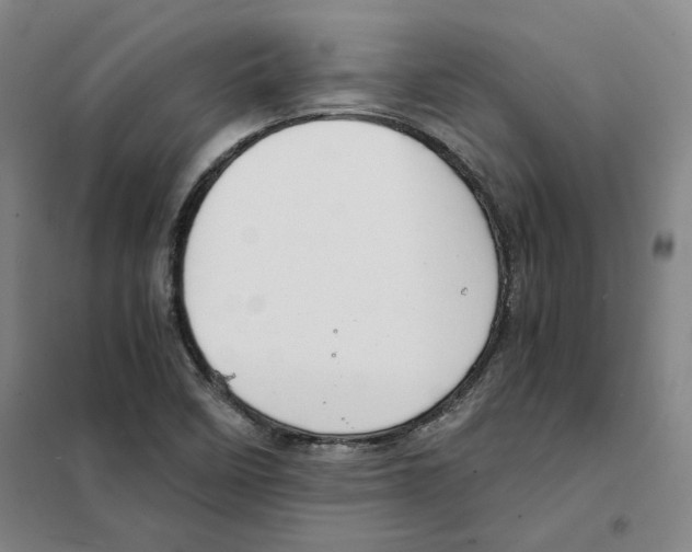 X0000101121458200807241148