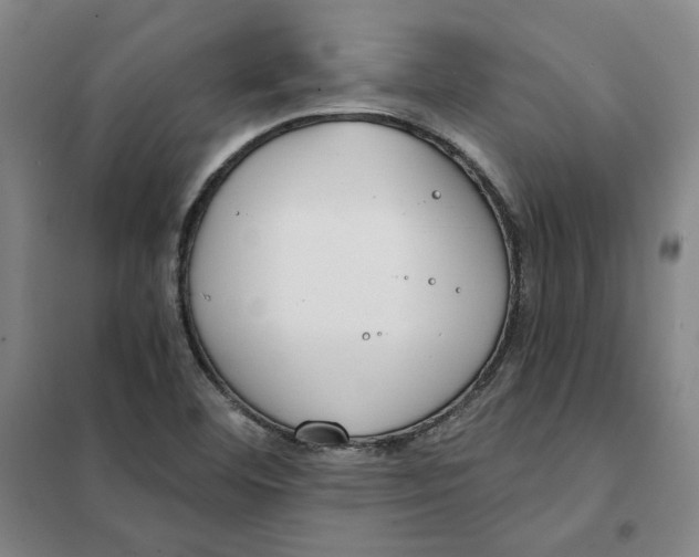 X0000101121460200807241148