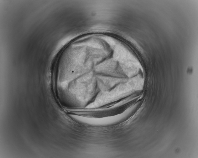 X0000101121461200807241147