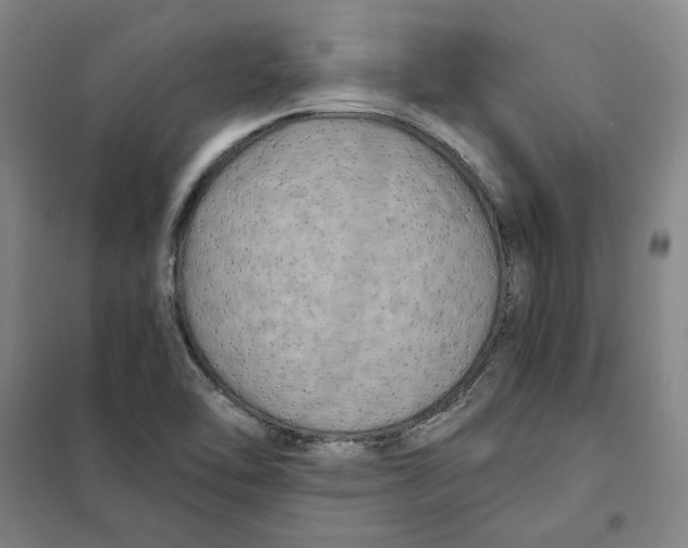 X0000101121462200807241147