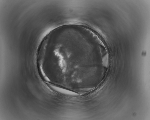 X0000101121463200807241147
