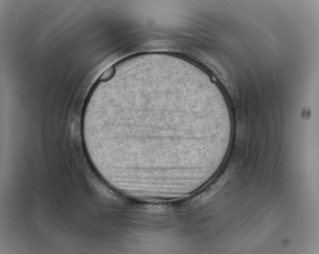 X0000101121465200807241147