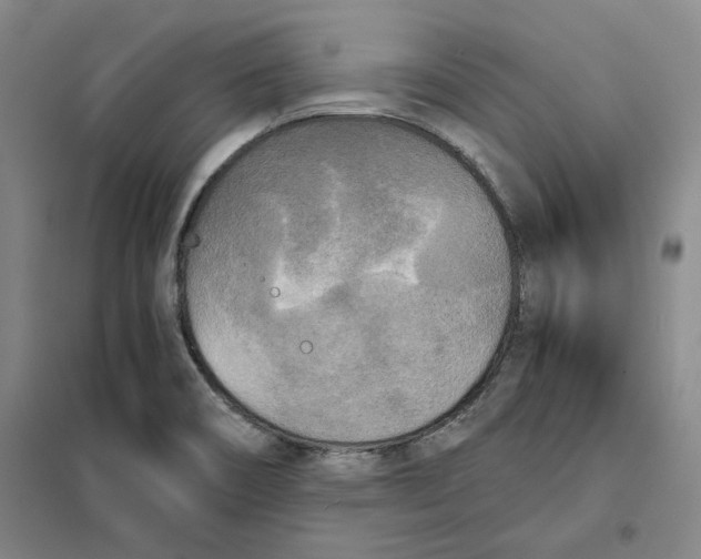 X0000101121466200807241147
