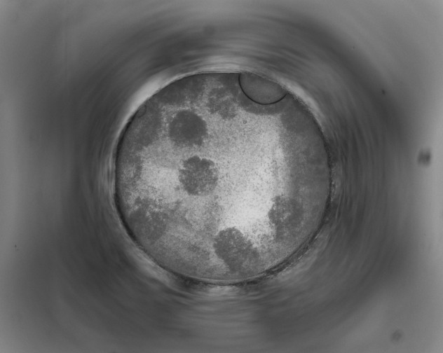 X0000101121467200807241147