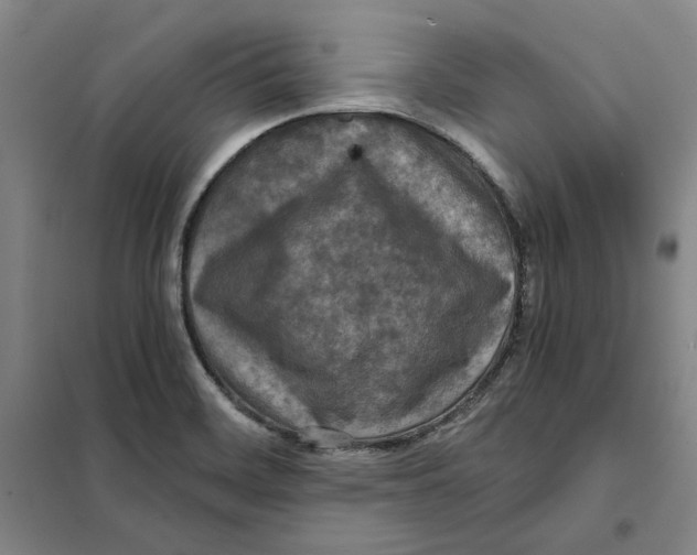 X0000101121468200807241147