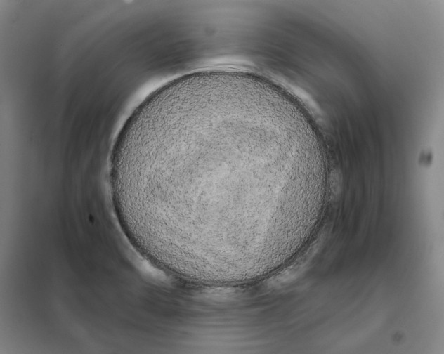 X0000101121470200807241147