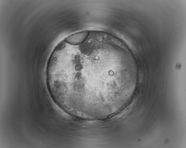 X0000101121471200807241147