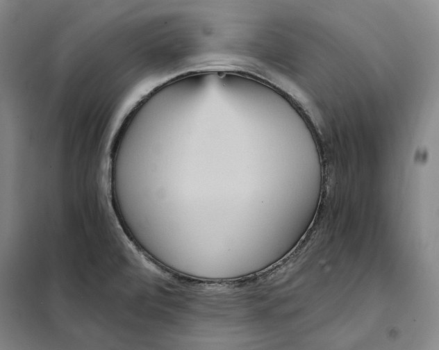 X0000101121472200807241147