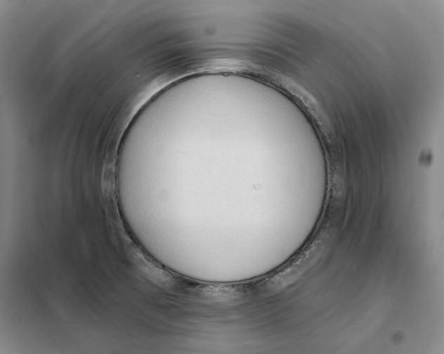 X0000101121473200807241147