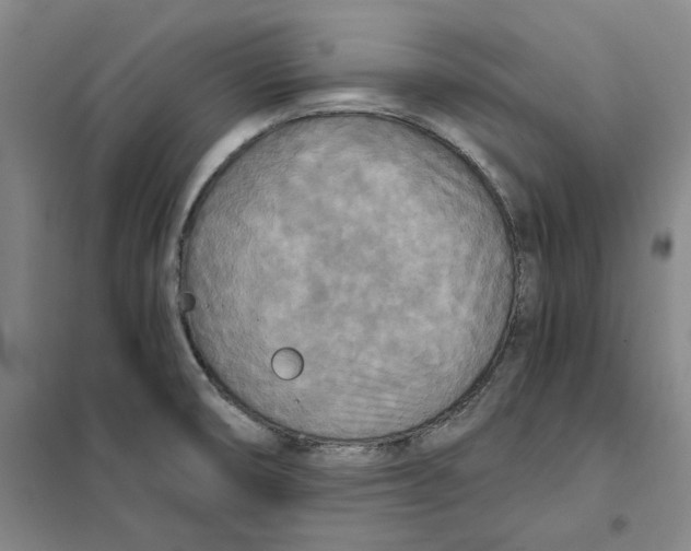 X0000101121474200807241147