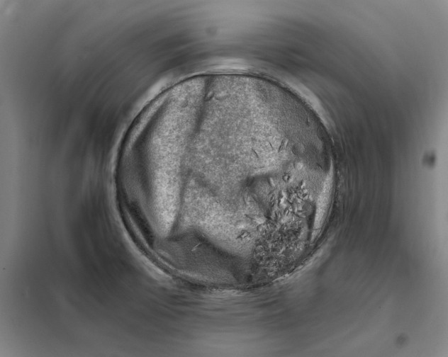 X0000101121475200807241147