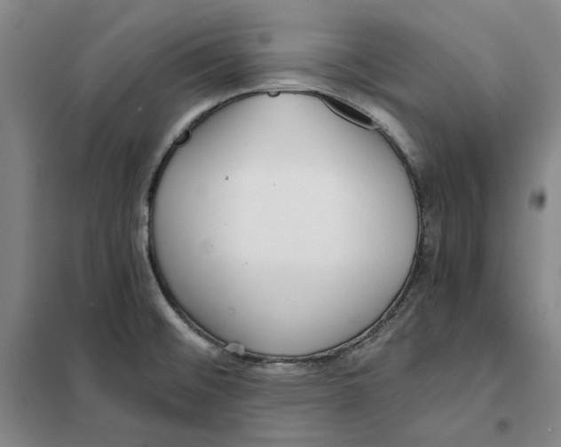 X0000101121476200807241147