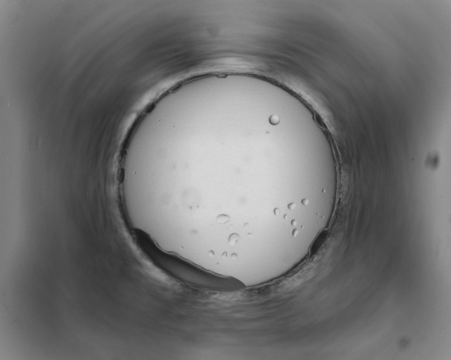 X0000101121477200807241147
