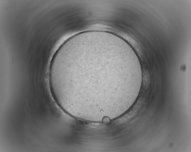 X0000101121478200807241147