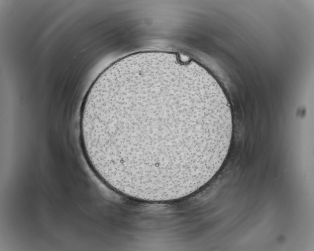 X0000101121479200807241147