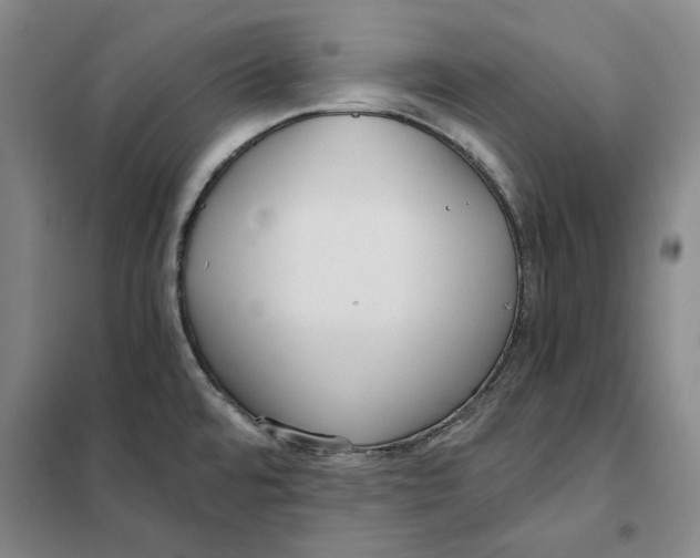 X0000101121480200807241147