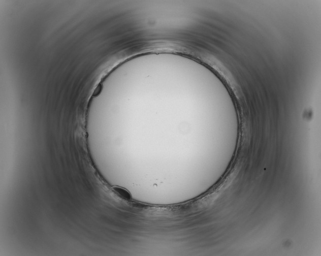 X0000101121481200807241147