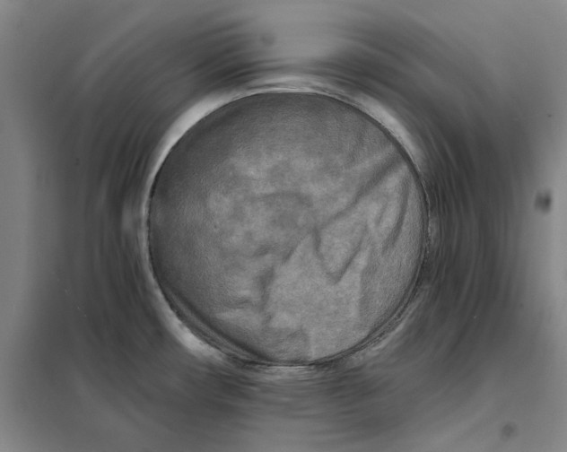 X0000101121482200807241147