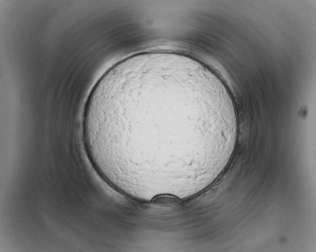X0000101121483200807241147